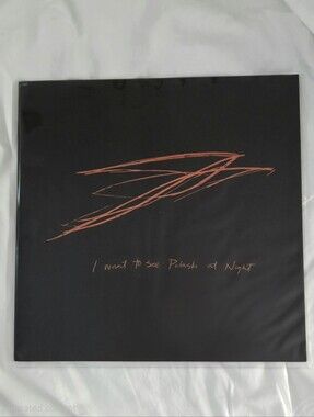 I Want to See Pulaski at Night - Andrew Bird Vinyl Record